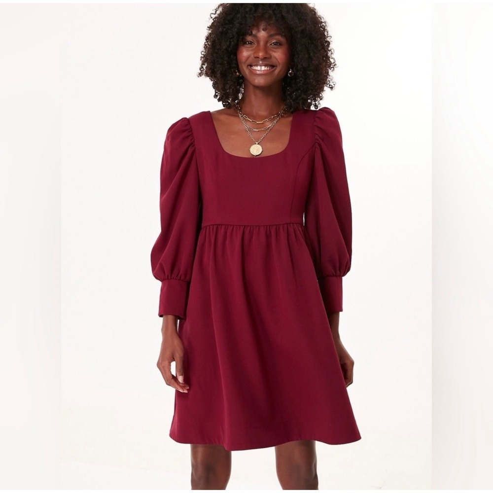 Tuckernuck Pomander Place Merlot Andie Dress Puff Sleeve Babydoll Size Small EUC